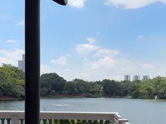 -荔湾湖公园