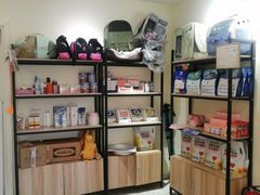 -柚子猫舍·精品猫舍购猫·猫咪认养·购宠·宠物店