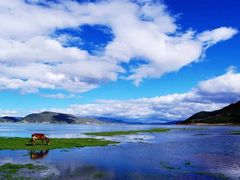-香格里拉大峡谷巴拉格宗国家级风景名胜区丽江中旅旅游质量服务点