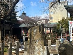 -医王山·飞騨国分寺