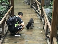 -大岭沟猕猴桃谷风景区