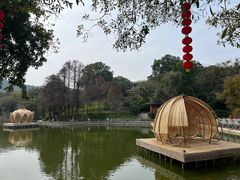 -广州市白云山风景名胜区