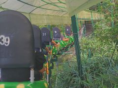 -桂林古东瀑布景区