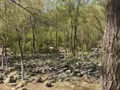 -滨河世纪广场公园
