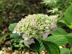 -共青国家森林公园-南大门停车场