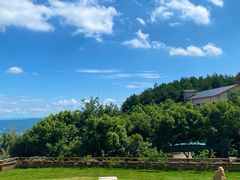 -铁山坪森林公园