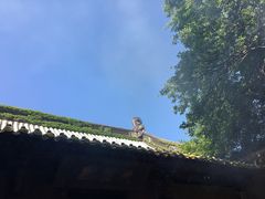 -普陀山慧济禅寺
