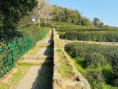 -中国茶叶博物馆(双峰馆区)