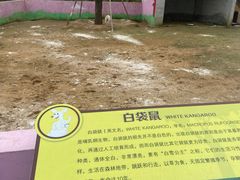 -太阳部落