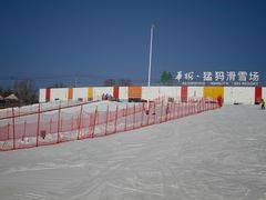-华彬猛犸滑雪场