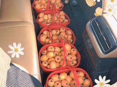 -菜园坝水果市场