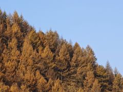 -雁门关景区