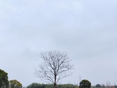 -良渚古城遗址公园