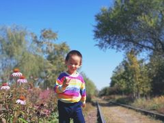 -永定河休闲森林公园