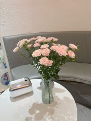 -薇薇安花系SPA