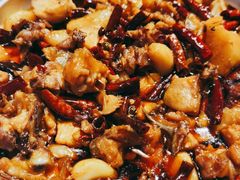 -志晖园圆子鸡·辣子鸡(阳光店)