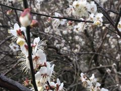 -东南悬空寺方广岩