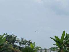 -空港花田景区