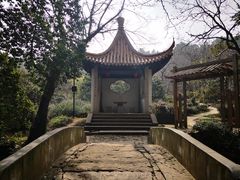 -雨花胜境