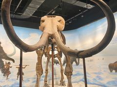 -辽宁古生物博物馆
