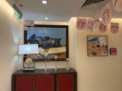 -咪咪比基尼脱毛专业店