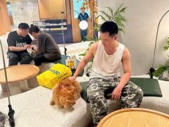 -帕帕拉兹宠物(亚洲旗舰店)