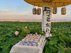 -七的湖·晚芳亭·阳澄湖农家菜·大闸蟹(莲花岛店)
