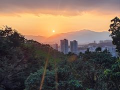 -福道