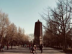 -玲珑塔公园