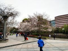 -玉山公园