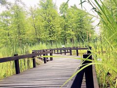 -梁鸿国家湿地公园