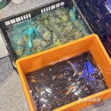酸辣开胃，瞬间打开味蕾！