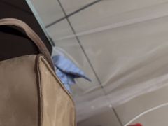 -陶虹海鲜餐厅(禅城石湾店)