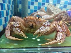 -蔚海之都·象山蒸汽海鲜(仙霞路店)