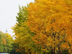 -元大都城垣遗址公园