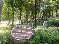 -安宁市宁湖森林公园