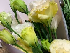 -BOBLOOM花店(宝龙旭辉广场店)