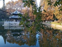 -习家池