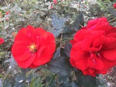 -人民公园(罗湖区)