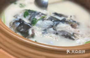 Shaoquan Organic Fish