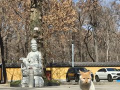 -灵谷景区
