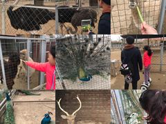 -意大利农场度假村