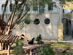 -重庆动物园·东二门售票处