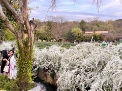 -野蔓果·山野菜(西湖景区·龙井茶田店)