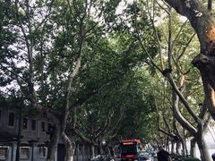 -杭州西湖风景名胜区-北街寻梦