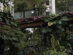 -昆明植物园