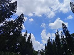 -广东革命历史博物馆办公楼