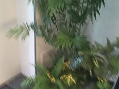 -八大碗·地道东北菜(东陵西路店)