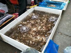 -树木岭集贸市场(劳动东路)