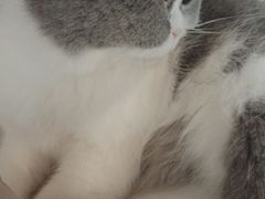 -万小咖.猫咖(中山路天虹店)